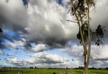 FB体育-帕尔梅拉斯体能训练升级，备战摩洛哥瓦赫达半决赛