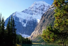 FB体育-梅西的微笑与铜牌雨：德国奥运军团折戟背后的蝴蝶效应