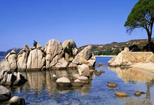 -钢骨与丝绸的共舞：热刺极限逼平哈特普尔背后的不败玄机