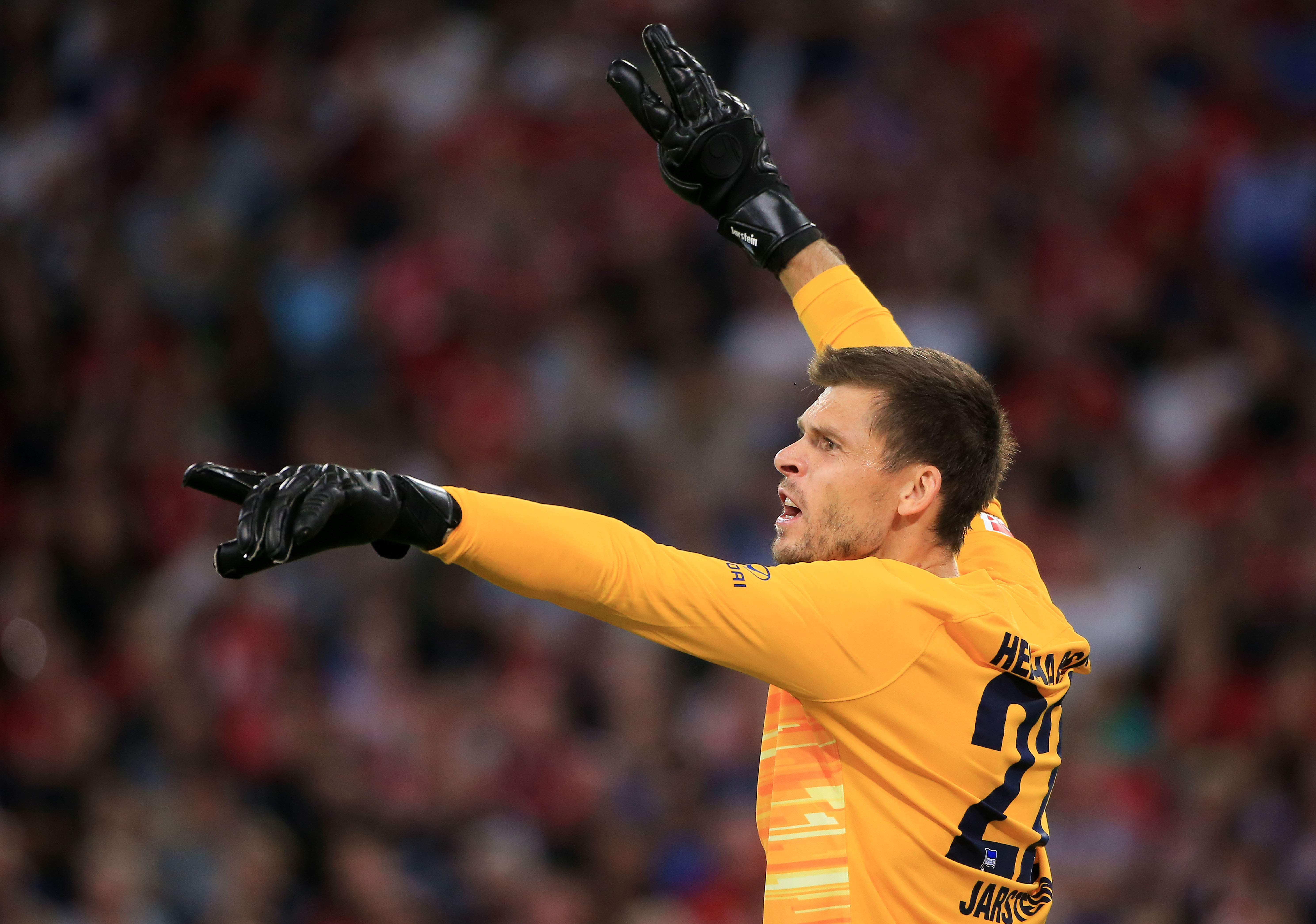 包含柏林赫塔晋级德甲联赛榜首，稳坐不动的词条