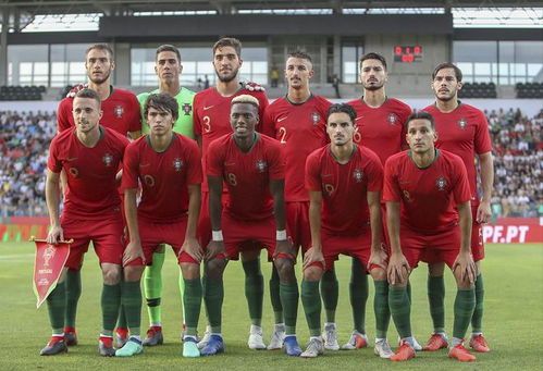 罗马尼亚队面临挑战,全力对抗 罗马尼亚队面临挑战,全力对抗