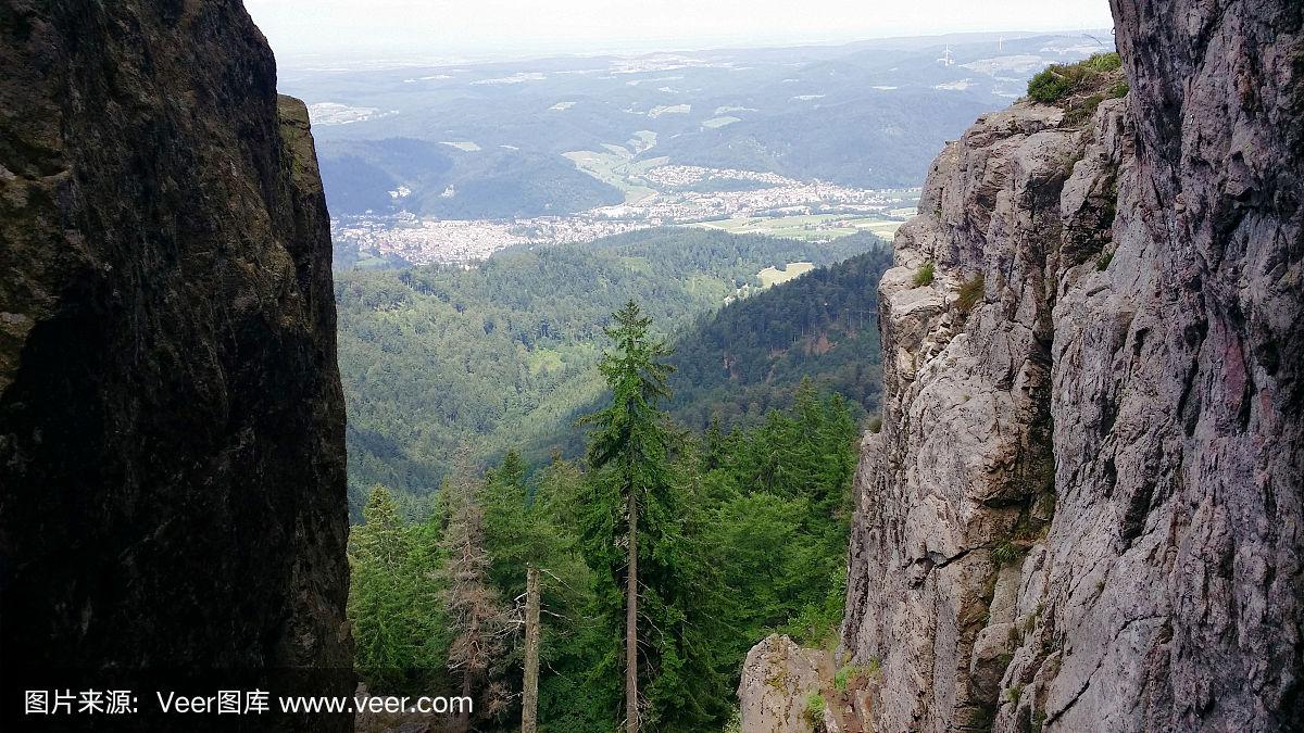 FB体育下载-弗赖堡的逆袭：黑森林军团绝地反击