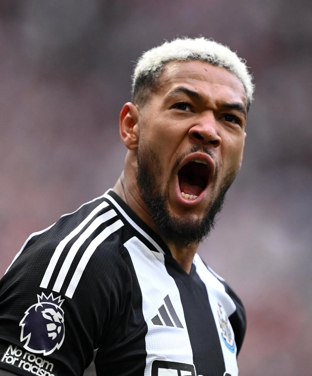 纽卡斯尔联主场大胜,迎来反弹势头的简单介绍 纽卡斯尔联主场大胜,迎来反弹势头的简单介绍