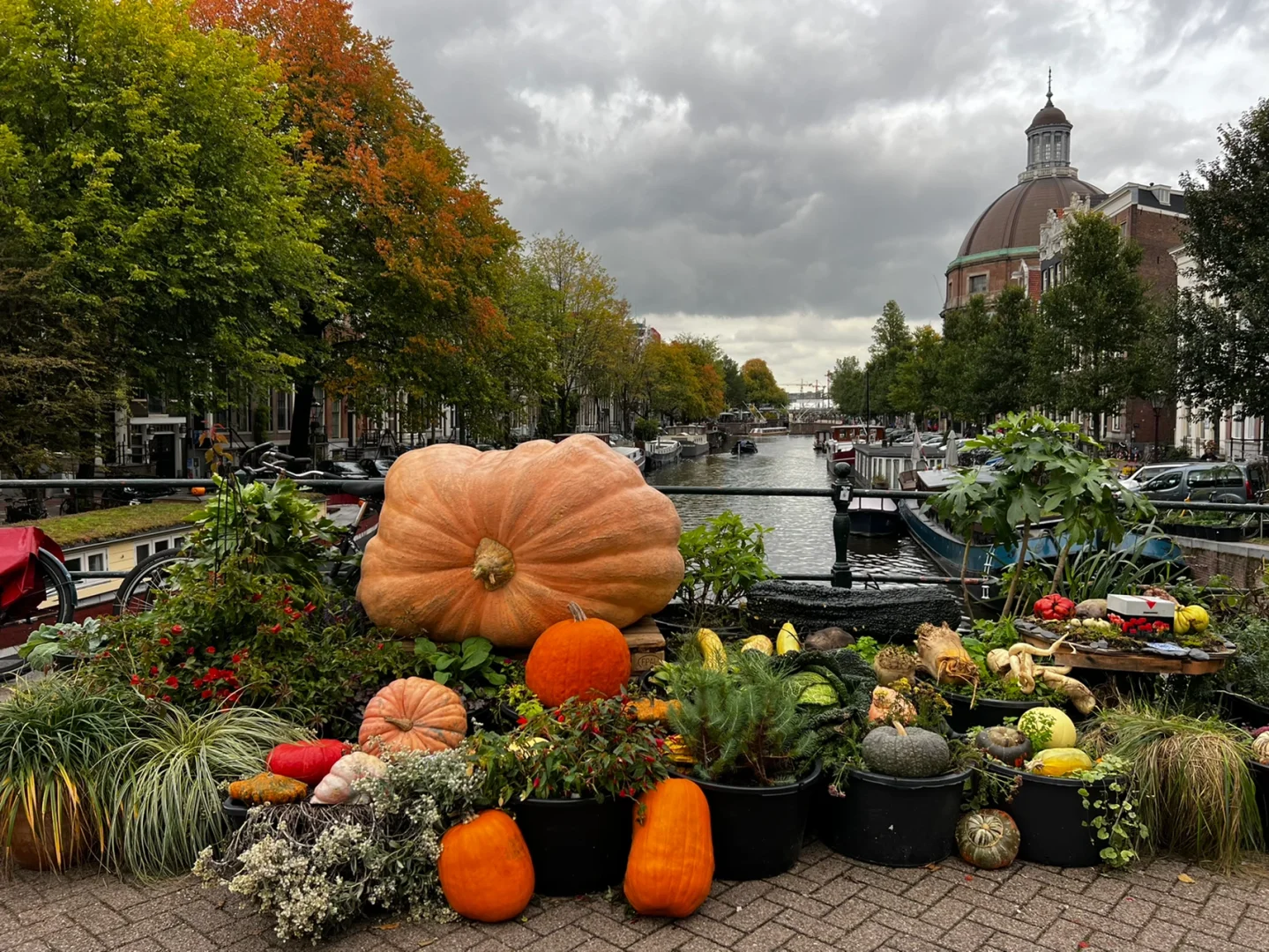 关于阿姆斯特丹连胜在望，实力十分强劲的信息